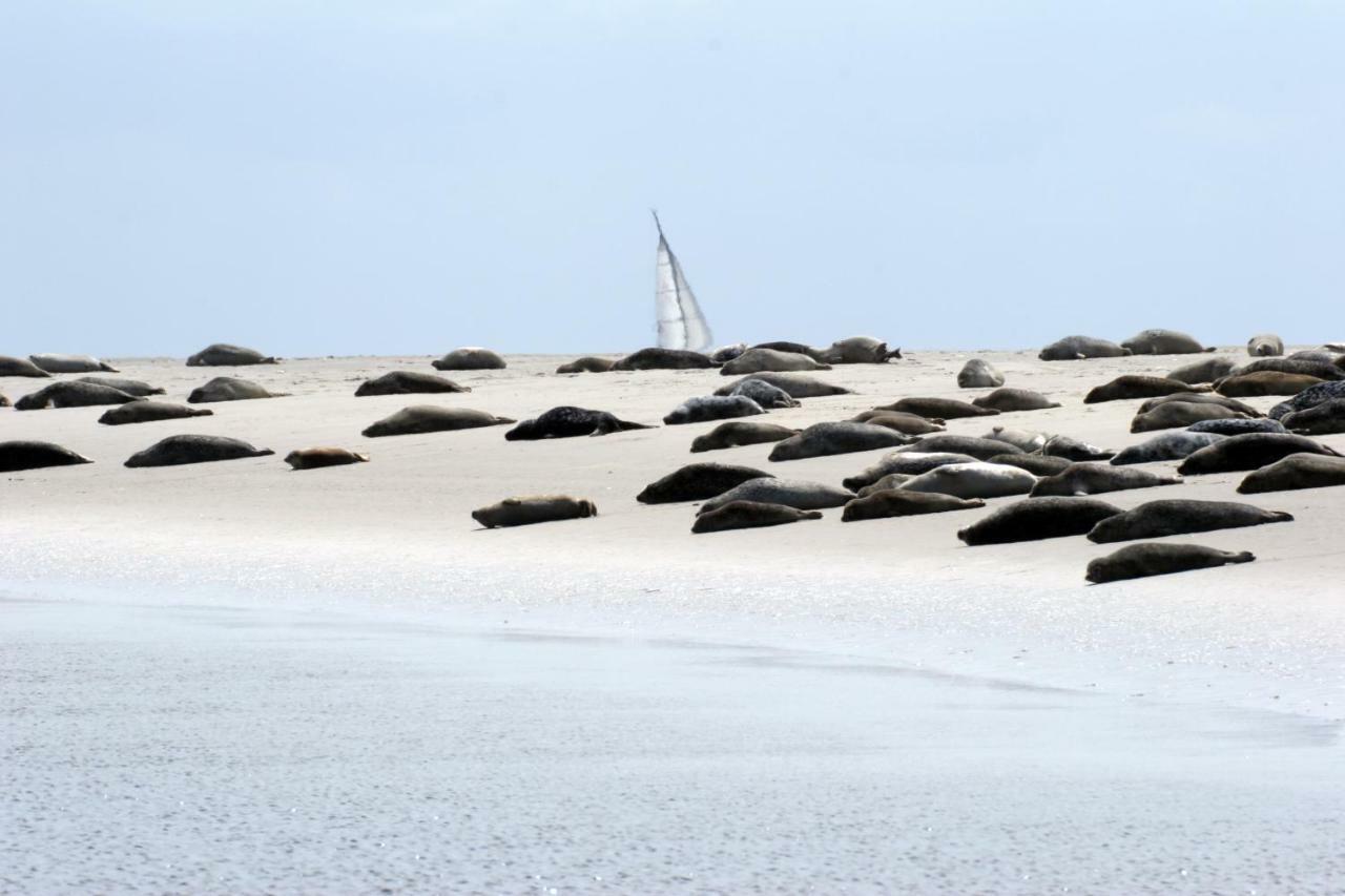 Borkumunterkunft - Woh4 - Im Herzen Der Insel Zewnętrze zdjęcie